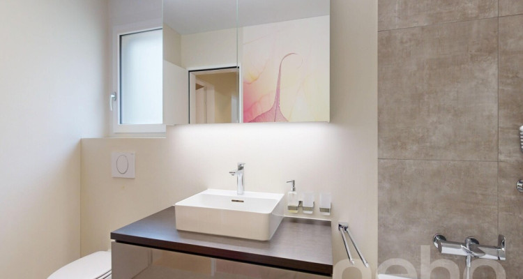 Helle 4.5-Zimmer-Wohnung mit grosser Südterrasse image 10