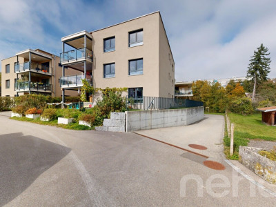 Attique lumineux plein sud, cadre paisible entre ville et campagne image 12