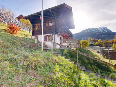 Exclusif : Chalet 2.5 pièces avec jardin image 1