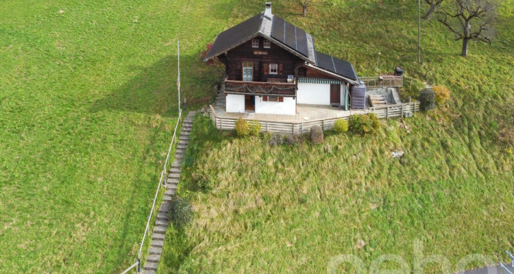 Exclusif : Chalet 2.5 pièces avec jardin image 3