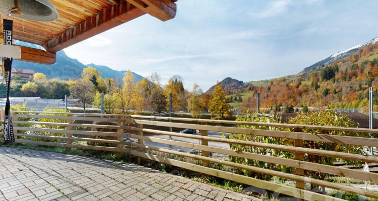 Exclusif : Chalet 2.5 pièces avec jardin image 11