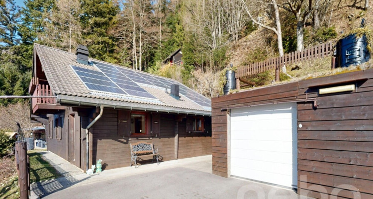 Maison individuelle 5.5 pièces - vue à couper le souffle image 2