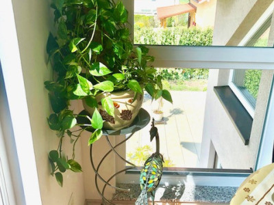 Villa individuelle 8,5 pièces avec piscine image 7