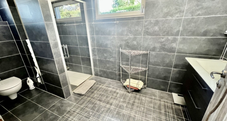 Villa individuelle 8,5 pièces avec piscine image 6