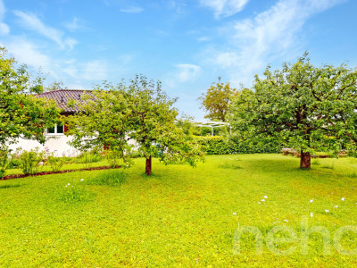 Maison familiale rénovée avec studio indépendant image 11