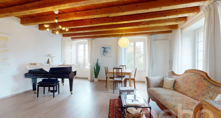 Maison villageoise rénovée avec jardin et fort potentiel image 1