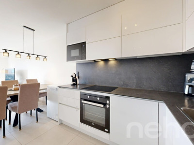 Appartement 2.5 pièces rénové ? 61 m² ? Plein Sud image 9