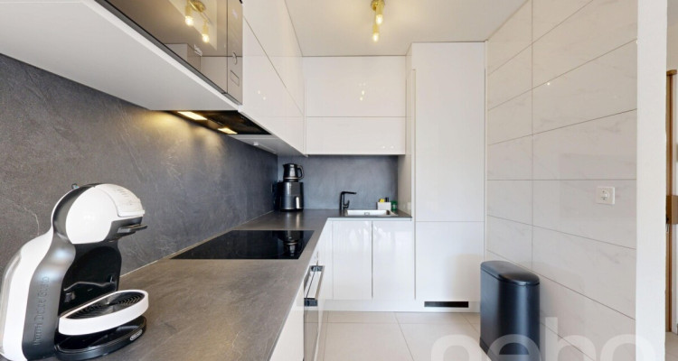 Appartement 2.5 pièces rénové ? 61 m² ? Plein Sud image 8