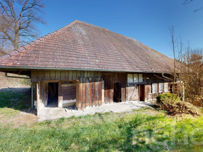 Historisches Doppeleinfamilienhaus am Waldrand mit Ausbaupotenzial image 1