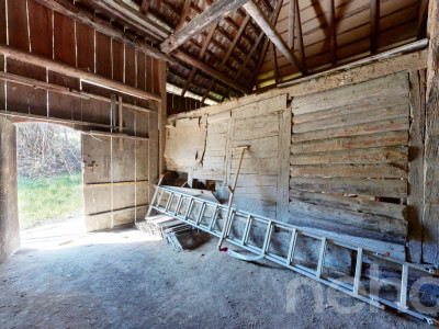 Historisches Doppeleinfamilienhaus am Waldrand mit Ausbaupotenzial image 9