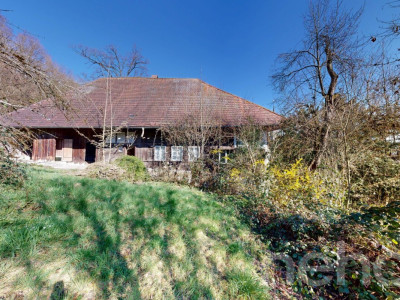 Historisches Doppeleinfamilienhaus am Waldrand mit Ausbaupotenzial image 11
