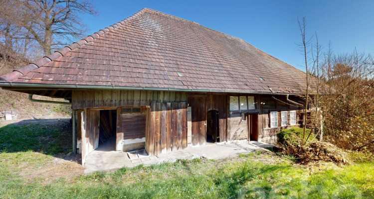Historisches Doppeleinfamilienhaus am Waldrand mit Ausbaupotenzial image 1