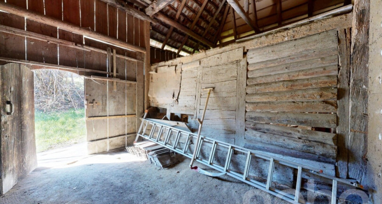 Historisches Doppeleinfamilienhaus am Waldrand mit Ausbaupotenzial image 9