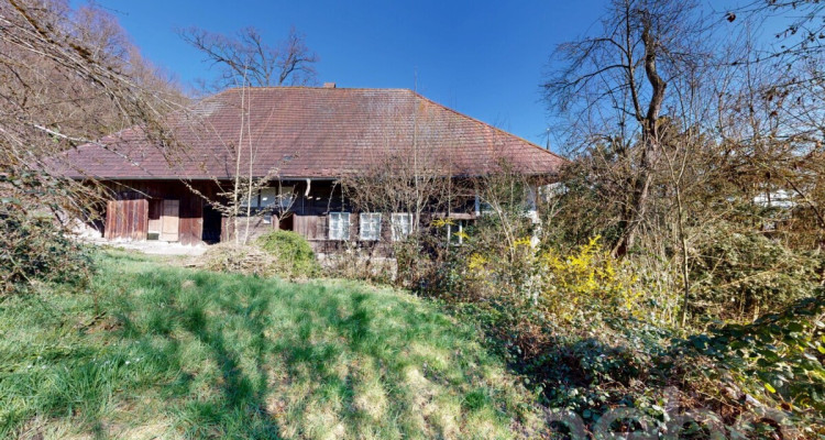 Historisches Doppeleinfamilienhaus am Waldrand mit Ausbaupotenzial image 11