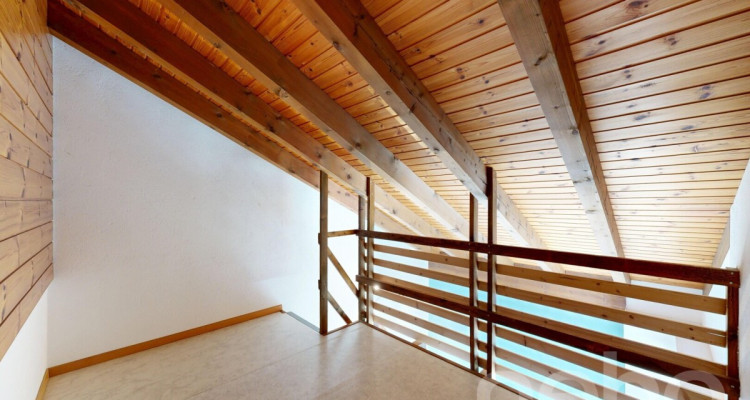 Grande maison avec appartement 2.5 indépendant - Vue dégagée image 10