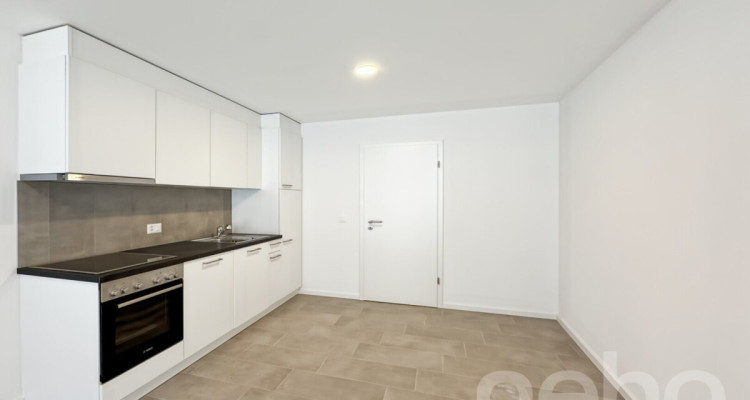 IMMEUBLE À ORBE (REN. env. 4.33%) image 3