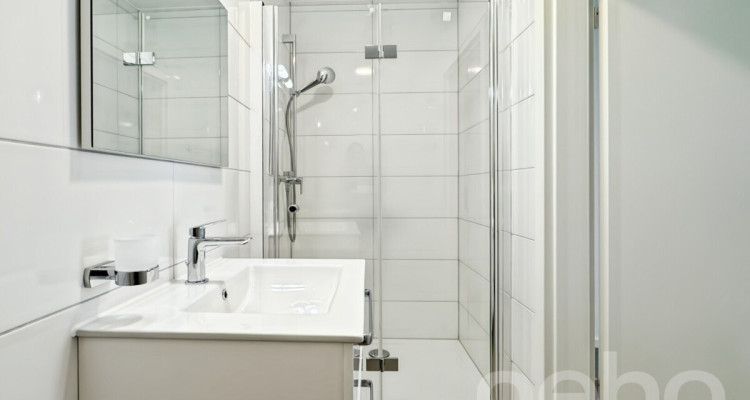 IMMEUBLE À ORBE (REN. env. 4.33%) image 9