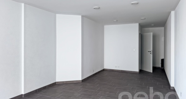 IMMEUBLE À ORBE (REN. env. 4.33%) image 10