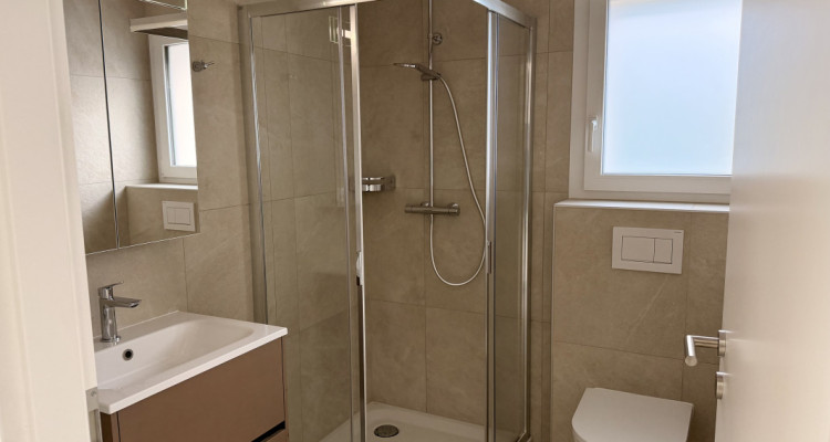 En pignon, spacieux, lumineux et pratique  image 11