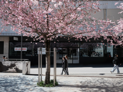 Devenez la vitrine dun quartier vivant image 11