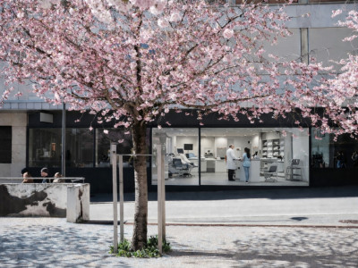 Devenez la vitrine dun quartier vivant image 1