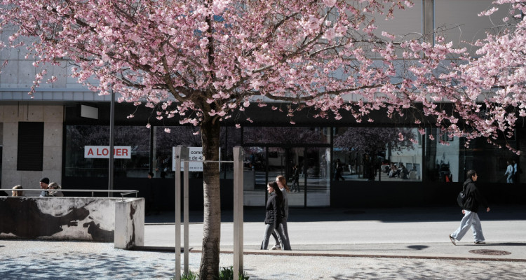 Devenez la vitrine dun quartier vivant image 11