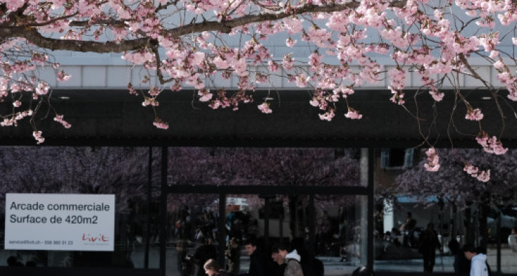 Devenez la vitrine dun quartier vivant image 1