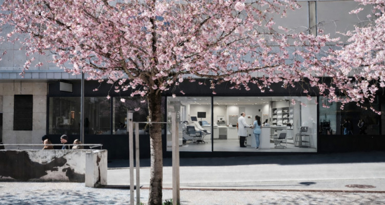 Devenez la vitrine dun quartier vivant image 1