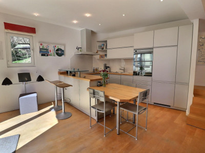 Magnifique maison en viager occupé sans rente avec splendide vue Lac image 9