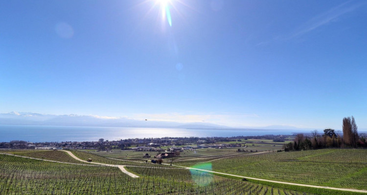 Magnifique maison en viager occupé sans rente avec splendide vue Lac image 2