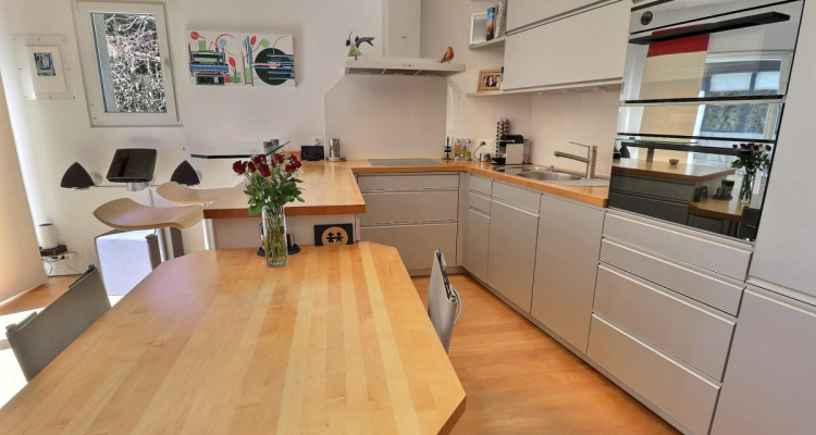 Magnifique maison en viager occupé sans rente avec splendide vue Lac image 8