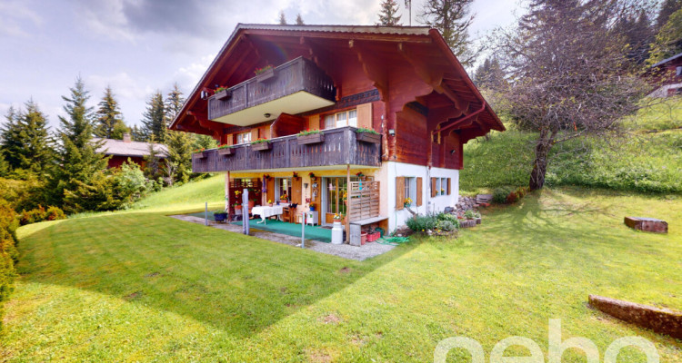 Exclusif : Grand chalet de 3 logements image 1