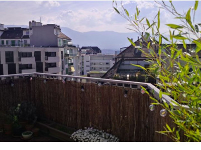 Superbe duplex de 140 m² avec terrasse , Quartier St-Jean / Charmilles  image 4