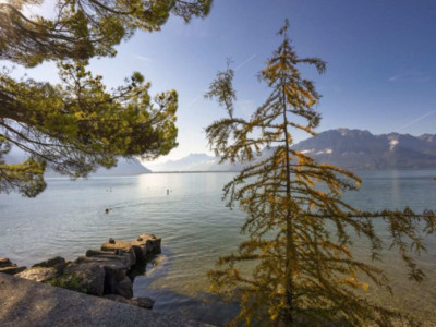 Au bord du lac - Appartement remis à neuf en exclusivité image 11