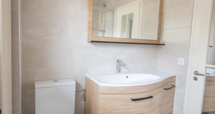 BELLE VILLA INDIVIDUELLE A BLONAY image 9