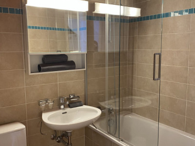 Bel appartement 2 pièces à Carouge (Genève) image 6