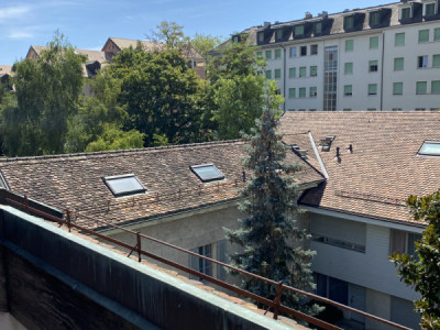 Bel appartement 2 pièces à Carouge (Genève) image 1