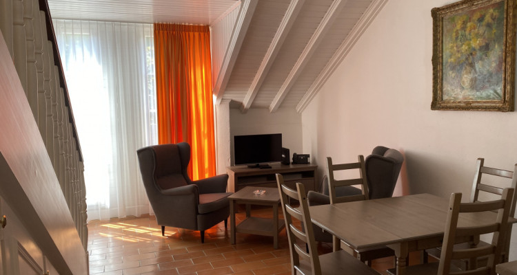 Bel appartement 2 pièces à Carouge (Genève) image 2