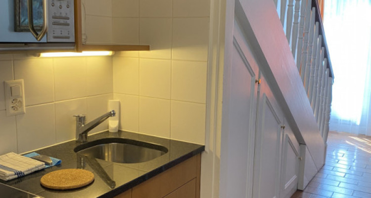 Bel appartement 2 pièces à Carouge (Genève) image 7