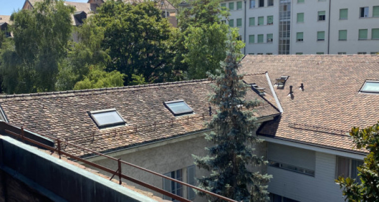 Bel appartement 2 pièces à Carouge (Genève) image 1