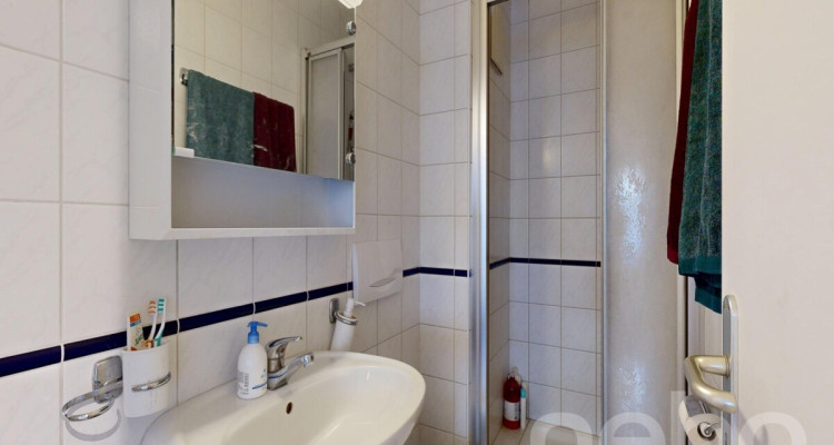 Coup de c?ur : 4,5 pièces avec balcon et vue lac ! image 11