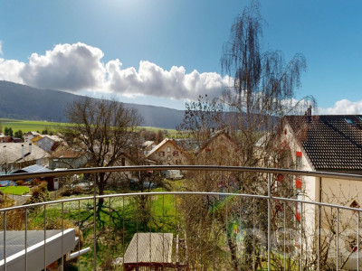 Grande demeure familiale de 2 appartements: 6,5 pièces + 3 pièces image 3