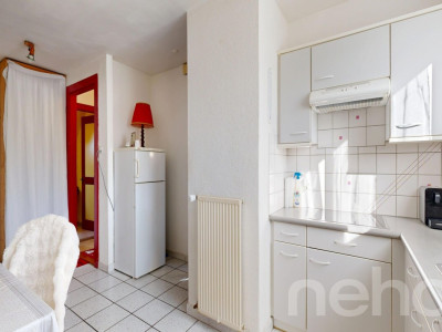 Grande demeure familiale de 2 appartements: 6,5 pièces + 3 pièces image 9