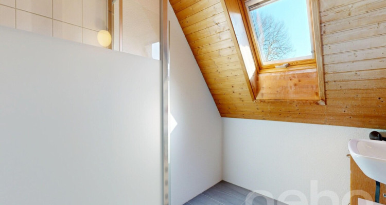 Grande demeure familiale de 2 appartements: 6,5 pièces + 3 pièces image 7