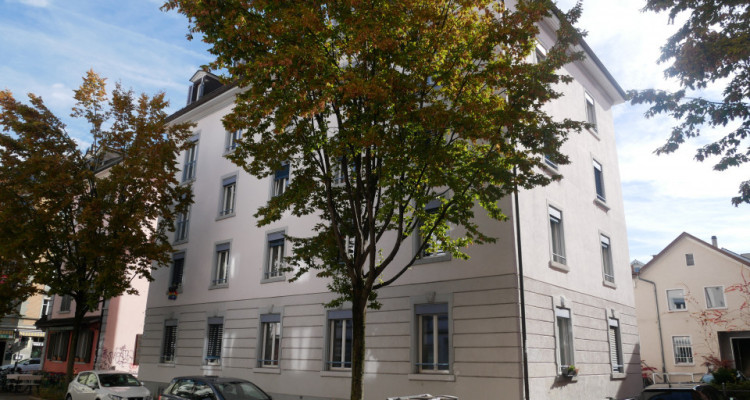 Lovely apartment 400 meters from the Zurich HB image 1