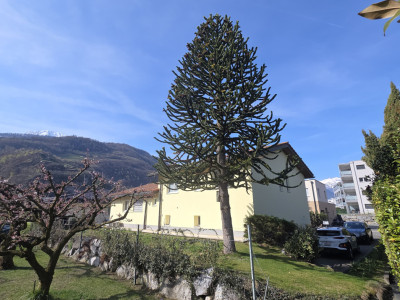 Elégance, sérénité et art de vivre image 1