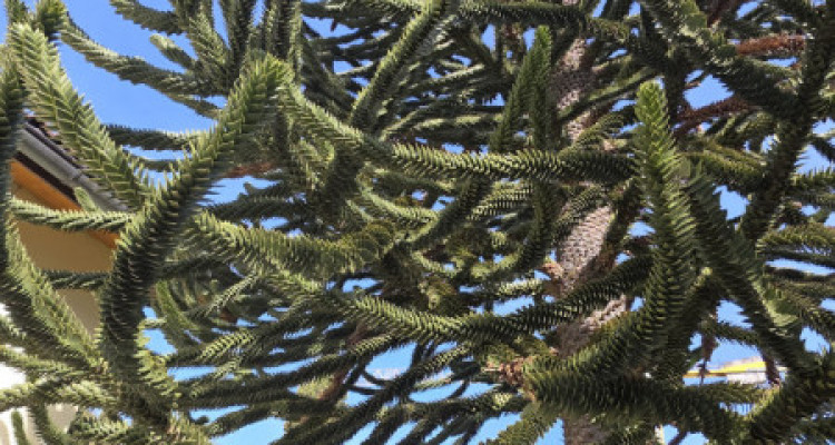 Elégance, sérénité et art de vivre image 16