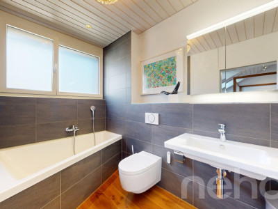 Exklusive 5.5-Attika mit Terrasse, Sauna und viel Platz image 8