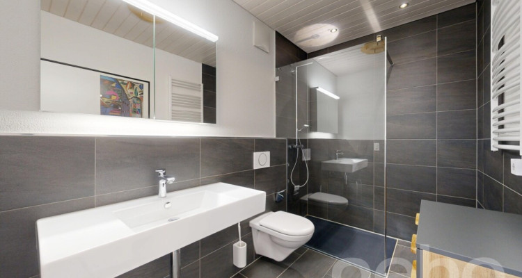 Exklusive 5.5-Attika mit Terrasse, Sauna und viel Platz image 7