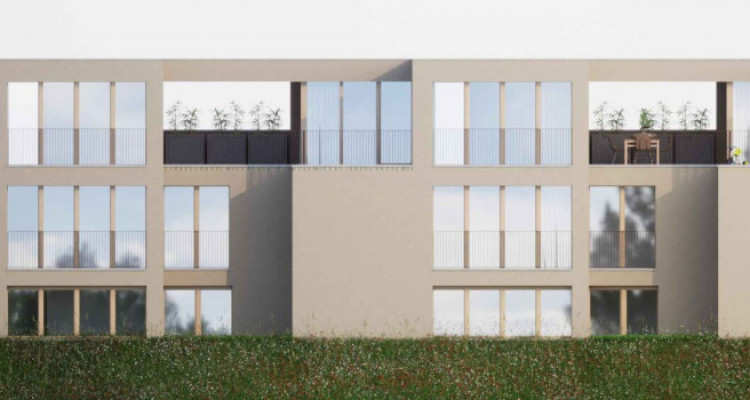 A vendre 3 magnifiques villas sur la commune de Matran image 7